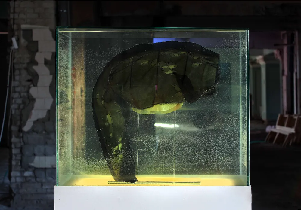 Cover image of Test project by Vasylyna Buryanyk, a Exhibitions, based in Lviv, created in 20.01.2025